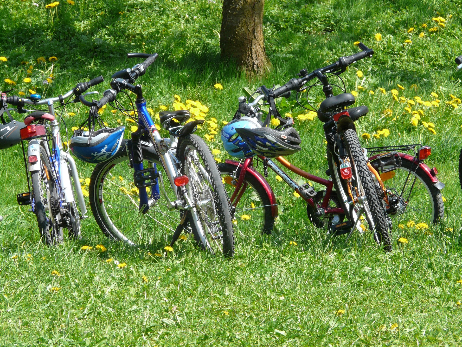 Inselkiez: Radtour am 21. Juli 2024 nach Wilhelmsburg  🚴‍♂️